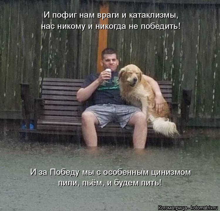 И пофиг нам враги и катаклизмы, нас никому и никогда не победить! И за Победу мы с особенным цинизмо... Котоматрица: И пофиг нам враги и катаклизмы, нас никому и никогда не победить! И за Победу мы с особенным цинизмом пили, пьём, и будем пить!