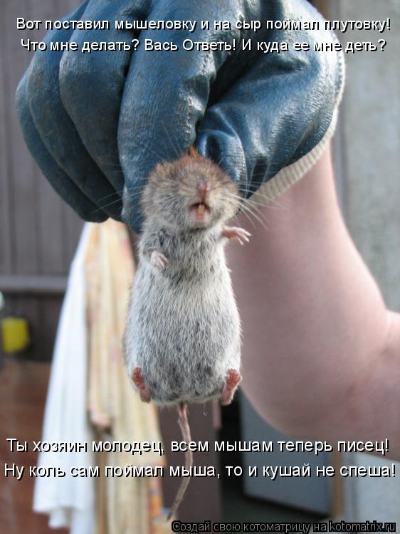 Ты хозяин молодец, всем мышам теперь писец! Ну коль сам поймал мыша, то и кушай не спеша! Вот постави... Котоматрица: Ты хозяин молодец, всем мышам теперь писец! Ну коль сам поймал мыша, то и кушай не спеша! Вот поставил мышеловку и на сыр поймал плутовку! Что
