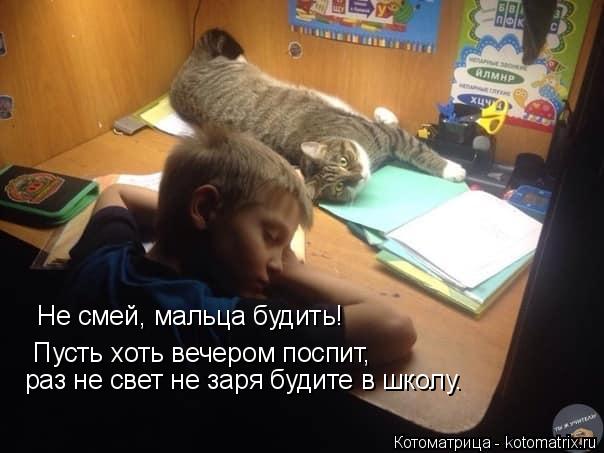 Не смей, мальца будить! Пусть хоть вечером поспит, раз не свет не заря будите в школу.... Котоматрица: Не смей, мальца будить! Пусть хоть вечером поспит, раз не свет не заря будите в школу.