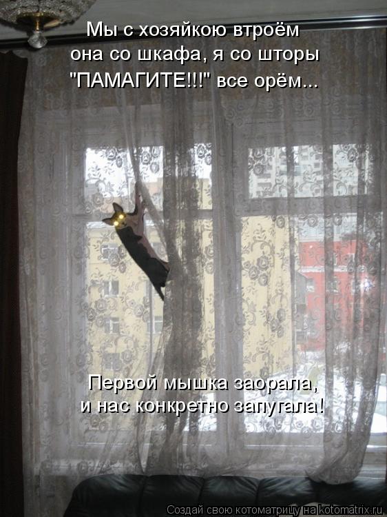 Мы с хозяйкою втроём она со шкафа, я со шторы "ПАМАГИТЕ!!!" все орём... Первой мышка заорала, и нас к... Котоматрица: Мы с хозяйкою втроём она со шкафа, я со шторы "ПАМАГИТЕ!!!" все орём... Первой мышка заорала, и нас конкретно запугала!