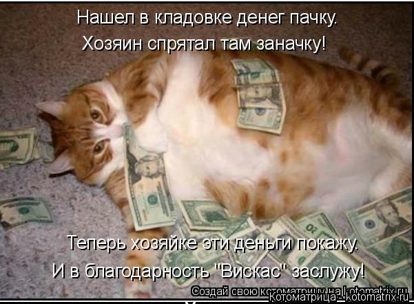 Нашел в кладовке денег пачку. Хозяин спрятал там заначку! Теперь хозяйке эти деньги покажу. И в благо... Котоматрица: Нашел в кладовке денег пачку. Хозяин спрятал там заначку! Теперь хозяйке эти деньги покажу. И в благодарность "Вискас" заслужу!