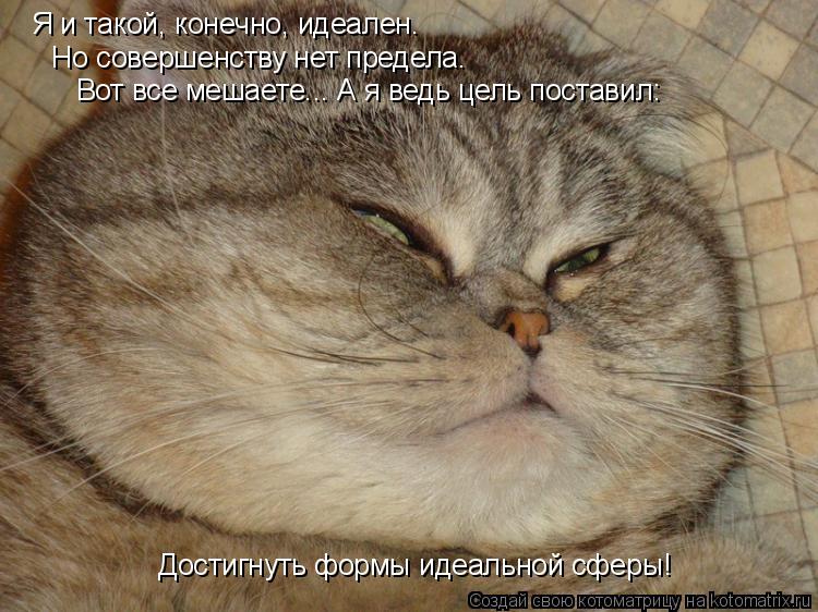 Я и такой, конечно, идеален. Но совершенству нет предела. Достигнуть формы идеальной сферы! Вот все м... Котоматрица: Я и такой, конечно, идеален. Но совершенству нет предела. Достигнуть формы идеальной сферы! Вот все мешаете... А я ведь цель поставил: