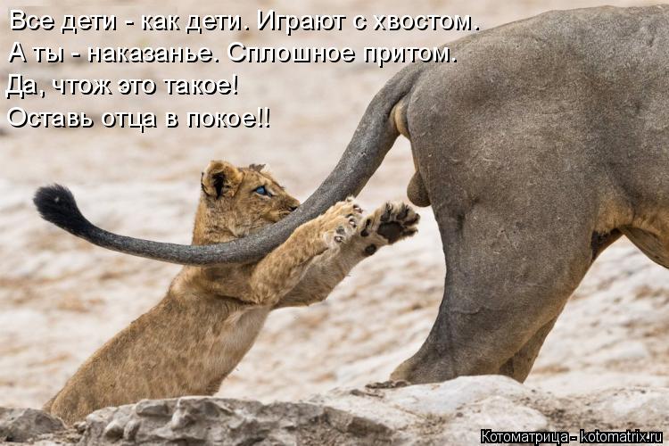 Все дети - как дети. Играют с хвостом. А ты - наказанье. Сплошное притом. Да, чтож это такое! Да, что... Котоматрица: Все дети - как дети. Играют с хвостом. А ты - наказанье. Сплошное притом. Да, чтож это такое! Да, чтож это такое! Оставь отца в покое!!