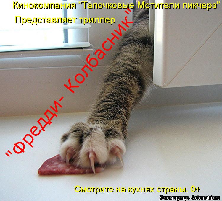Представляет триллер Кинокомпания "Тапочковые Мстители пикчерз" Смотрите на кухнях страны. 0+ "Фред... Котоматрица: Представляет триллер Кинокомпания "Тапочковые Мстители пикчерз" Смотрите на кухнях страны. 0+ "Фредди- Колбасник"