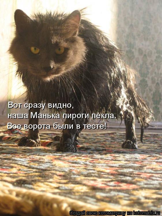 Вот сразу видно, наша Манька пироги пекла. Все ворота были в тесте!... Котоматрица: Вот сразу видно, наша Манька пироги пекла. Все ворота были в тесте!