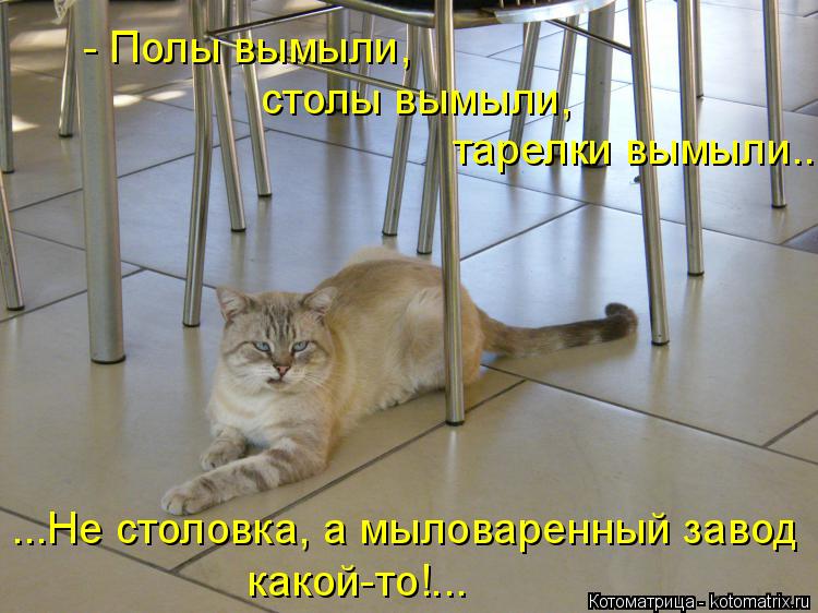 - Полы вымыли, столы вымыли, тарелки вымыли... какой-то!... ...Не столовка, а мыловаренный завод... Котоматрица: - Полы вымыли, столы вымыли, тарелки вымыли... какой-то!... ...Не столовка, а мыловаренный завод