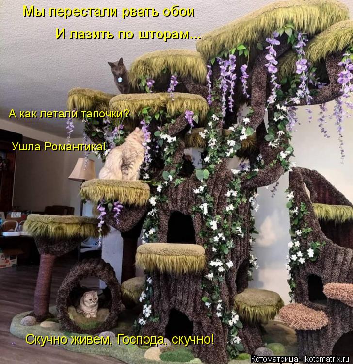 Мы перестали рвать обои И лазить по шторам... Ушла Романтика! А как летали тапочки? Скучно живем, Го... Котоматрица: Мы перестали рвать обои И лазить по шторам... Ушла Романтика! А как летали тапочки? Скучно живем, Господа, скучно!