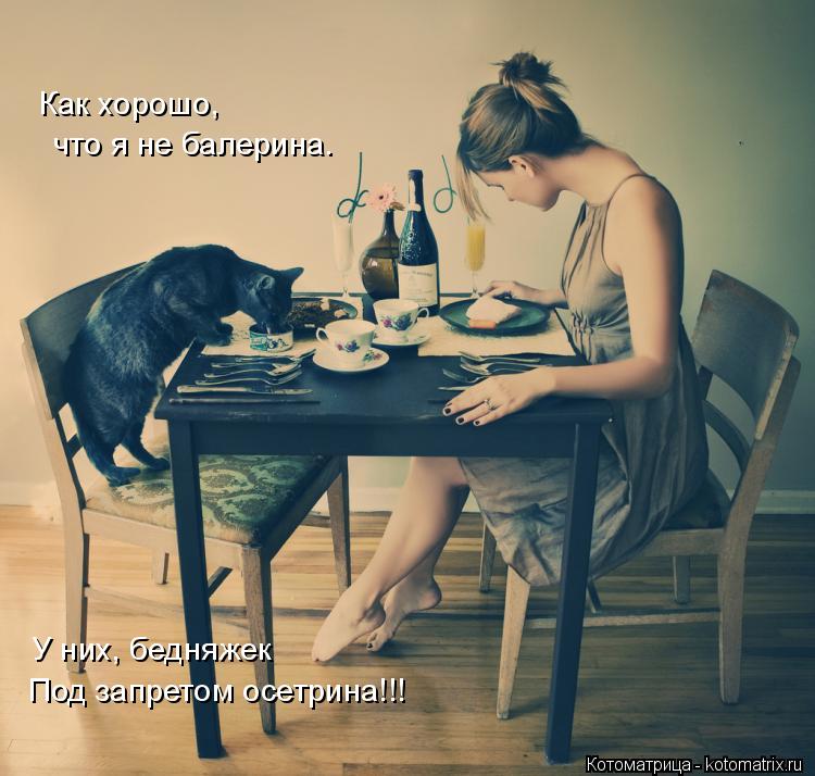 Как хорошо, что я не балерина. У них, бедняжек Под запретом осетрина!!!... Котоматрица: Как хорошо, что я не балерина. У них, бедняжек Под запретом осетрина!!!