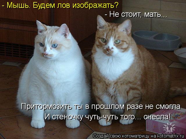 - Мышь. Будем лов изображать? - Не стоит, мать... Притормозить ты в прошлом разе не смогла И стеночку... Котоматрица: - Мышь. Будем лов изображать? - Не стоит, мать... Притормозить ты в прошлом разе не смогла И стеночку чуть-чуть того... снесла!