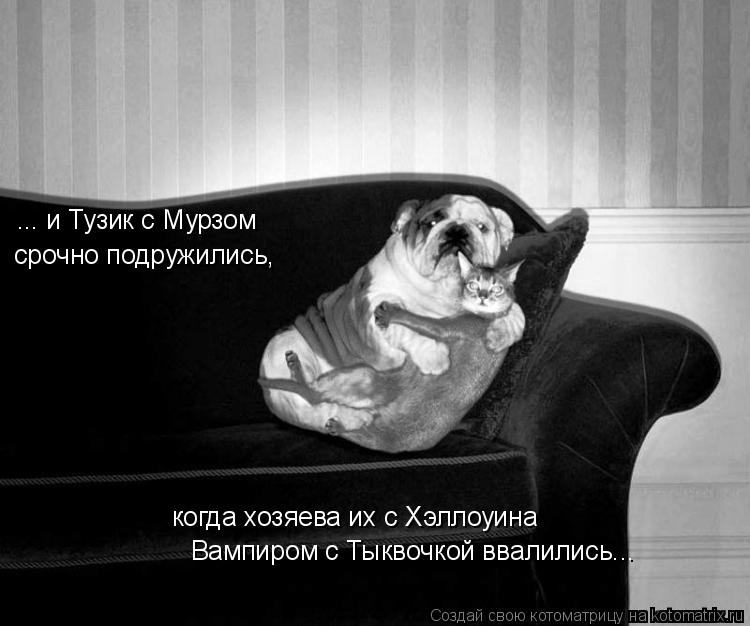 ... и Тузик с Мурзом срочно подружились, когда хозяева их с Хэллоуина Вампиром с Тыквочкой ввалились... Котоматрица: ... и Тузик с Мурзом срочно подружились, когда хозяева их с Хэллоуина Вампиром с Тыквочкой ввалились...