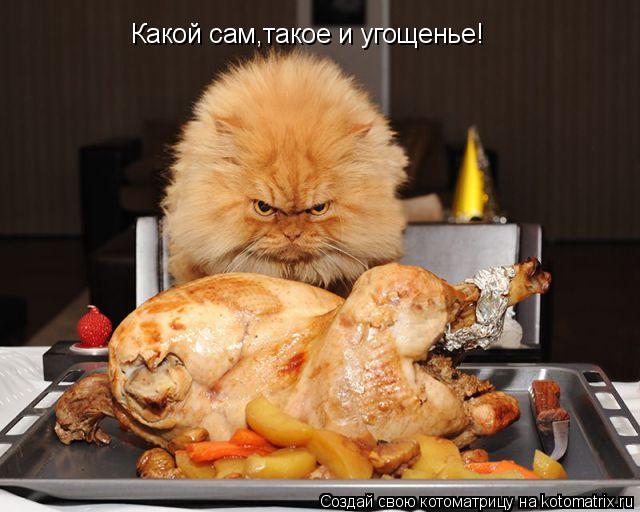 Какой сам,такое и угощенье!... Котоматрица: Какой сам,такое и угощенье!