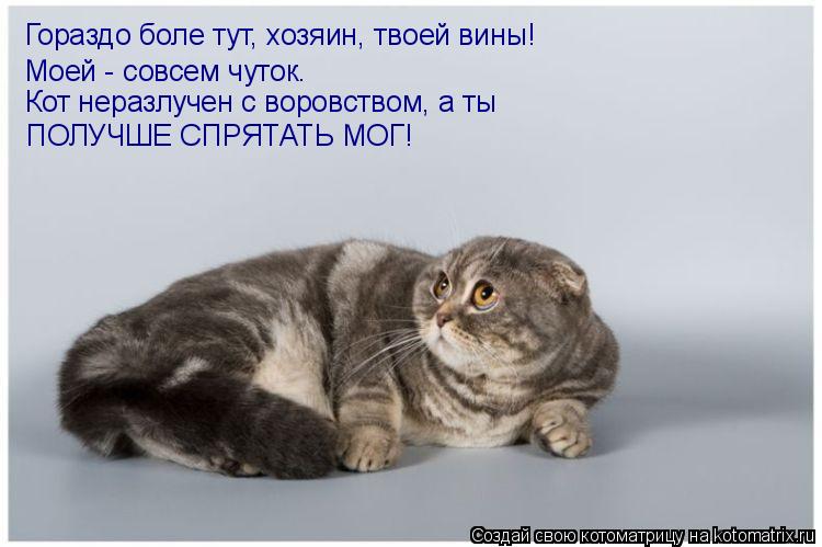 Гораздо боле тут, хозяин, твоей вины! Моей - совсем чуток. Кот неразлучен с воровством, а ты ПОЛУЧШЕ ... Котоматрица: Гораздо боле тут, хозяин, твоей вины! Моей - совсем чуток. Кот неразлучен с воровством, а ты ПОЛУЧШЕ СПРЯТАТЬ МОГ!