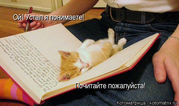 Котоматрица: Ой! Устал я понимаете! Почитайте пожалуйста!