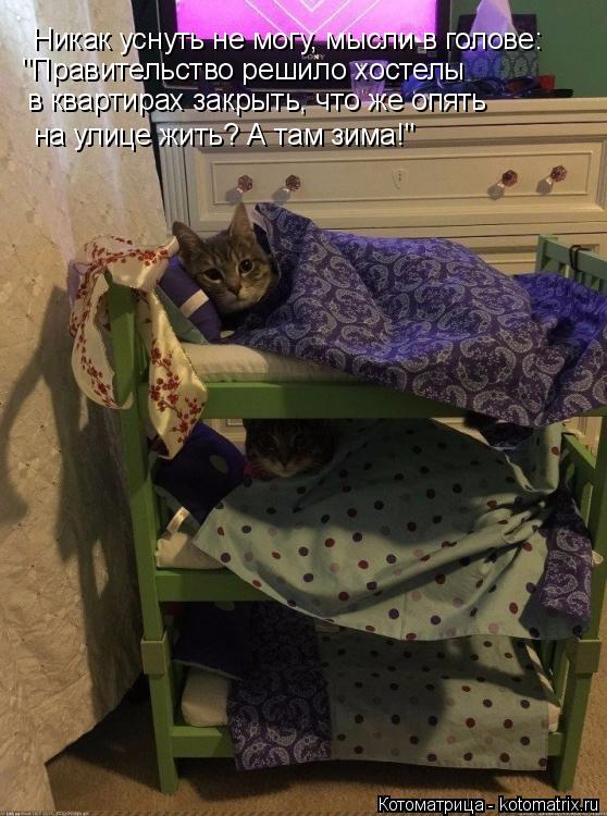 Никак уснуть не могу, мысли в голове: "Правительство решило хостелы в квартирах закрыть, что же опят... Котоматрица: Никак уснуть не могу, мысли в голове: "Правительство решило хостелы в квартирах закрыть, что же опять на улице жить? А там зима!"