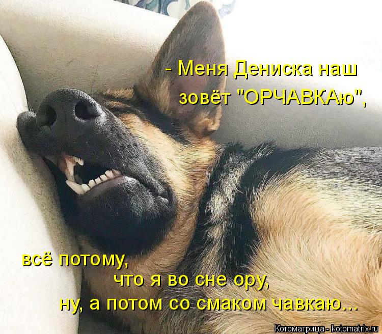 - Меня Дениска наш зовёт "ОРЧАВКАю", всё потому, что я во сне ору, ну, а потом со смаком чавкаю...... Котоматрица: - Меня Дениска наш зовёт "ОРЧАВКАю", всё потому, что я во сне ору, ну, а потом со смаком чавкаю...