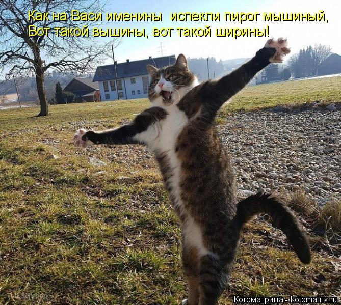 Как на Васи именины испекли пирог мышиный, Вот такой вышины, вот такой ширины!... Котоматрица: Как на Васи именины испекли пирог мышиный, Вот такой вышины, вот такой ширины!