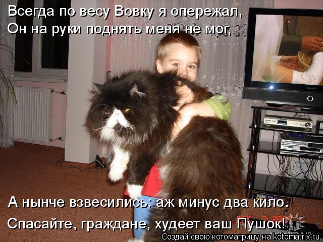 http://kotomatrix.ru/images/lolz/2019/12/04/kotomatritsa_i.jpg