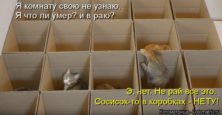 Я комнату свою не узнаю. Я что ли умер? и в раю? Э, нет. Не рай все это. Сосисок-то в коробках - НЕТУ... Котоматрица: Я комнату свою не узнаю. Я что ли умер? и в раю? Э, нет. Не рай все это. Сосисок-то в коробках - НЕТУ!
