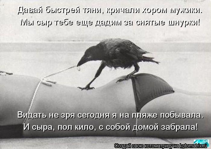 Давай быстрей тяни, кричали хором мужики. Мы сыр тебе еще дадим за снятые шнурки! Видать не зря сегод... Котоматрица: Давай быстрей тяни, кричали хором мужики. Мы сыр тебе еще дадим за снятые шнурки! Видать не зря сегодня я на пляже побывала. И сыра, пол кило, ?