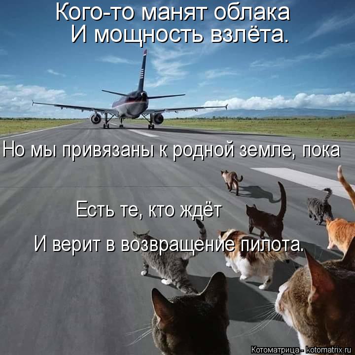 Кого-то манят облака И мощность взлёта. Но мы привязаны к родной земле, пока Есть те, кто ждёт И вер... Котоматрица: Кого-то манят облака И мощность взлёта. Но мы привязаны к родной земле, пока Есть те, кто ждёт И верит в возвращение пилота.