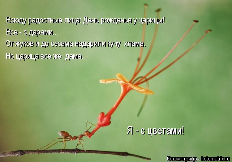 Всюду радостные лица: День рожденья у царицы! Все - с дарами... От жуков и до сезама надарили кучу х... Котоматрица: Всюду радостные лица: День рожденья у царицы! Все - с дарами... От жуков и до сезама надарили кучу хлама. Но царица все же дама... Я - с цветами!