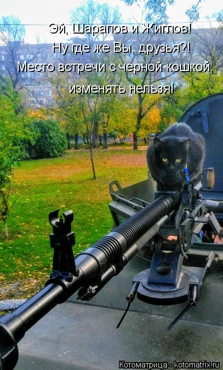Эй, Шарапов и Жиглов! Ну где же Вы, друзья?! Место встречи с черной кошкой, изменять нельзя!... Котоматрица: Эй, Шарапов и Жиглов! Ну где же Вы, друзья?! Место встречи с черной кошкой, изменять нельзя!