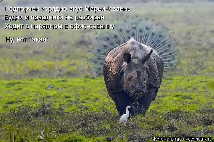 Подпорчен изрядно вкус Марьи-Иванны. Будни и праздники не разбирая Ходит в нарядном в офис-саванну Ну... Котоматрица: Подпорчен изрядно вкус Марьи-Иванны. Будни и праздники не разбирая Ходит в нарядном в офис-саванну Ну, вот такая: