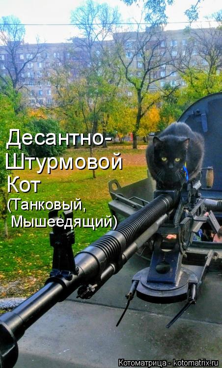 Десантно- Штурмовой Кот (Танковый, Мышеедящий)... Котоматрица: Десантно- Штурмовой Кот (Танковый, Мышеедящий)