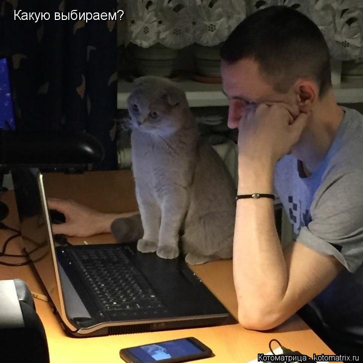 Какую выбираем?... Котоматрица: Какую выбираем?