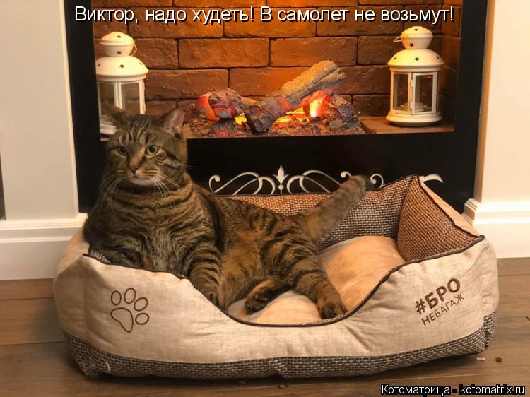 Виктор, надо худеть! В самолет не возьмут!... Котоматрица: Виктор, надо худеть! В самолет не возьмут!
