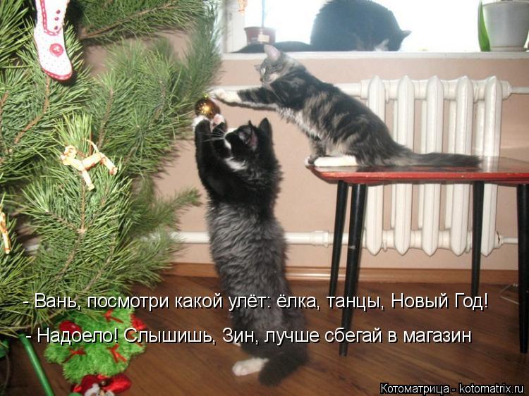 - Вань, посмотри какой улёт: ёлка, танцы, Новый Год! - Надоело! Слышишь, Зин, лучше сбегай в магазин... Котоматрица: - Вань, посмотри какой улёт: ёлка, танцы, Новый Год! - Надоело! Слышишь, Зин, лучше сбегай в магазин