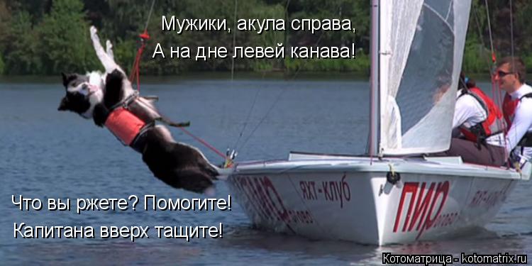 Мужики, акула справа, А на дне левей канава! Что вы ржете? Помогите! Капитана вверх тащите!... Котоматрица: Мужики, акула справа, А на дне левей канава! Что вы ржете? Помогите! Капитана вверх тащите!