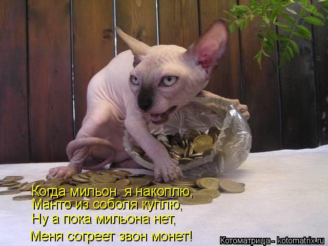 Когда мильон я накоплю, Манто из соболя куплю, Ну а пока мильона нет, Меня согреет звон монет!... Котоматрица: Когда мильон я накоплю, Манто из соболя куплю, Ну а пока мильона нет, Меня согреет звон монет!