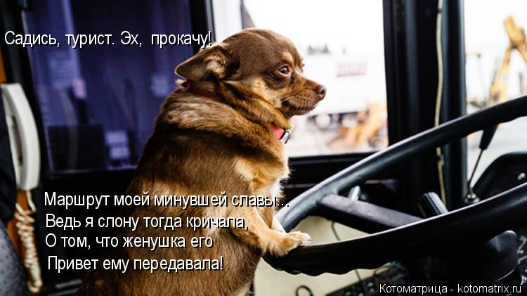 Привет ему передавала! О том, что женушка его Ведь я слону тогда кричала, Маршрут моей минувшей сла... Котоматрица: Привет ему передавала! О том, что женушка его Ведь я слону тогда кричала, Маршрут моей минувшей славы... Садись, турист. Эх, прокачу!