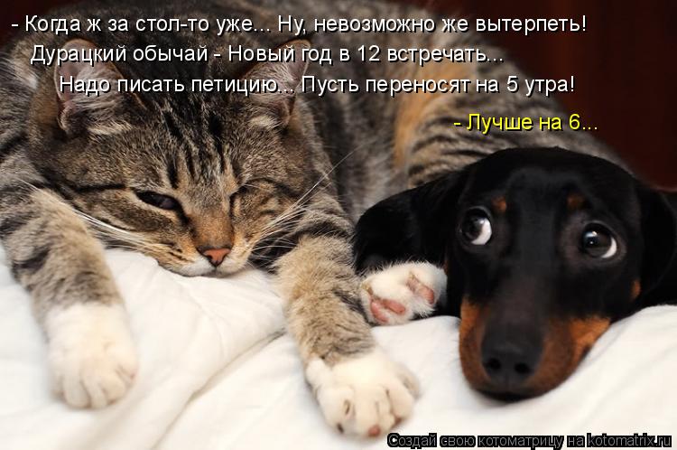 Дурацкий обычай - Новый год в 12 встречать... Надо писать петицию... Пусть переносят на 5 утра! - Луч... Котоматрица: Дурацкий обычай - Новый год в 12 встречать... Надо писать петицию... Пусть переносят на 5 утра! - Лучше на 6... - Когда ж за стол-то уже... Ну, невозмож