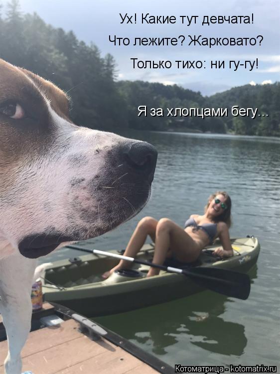 Ух! Какие тут девчата! Что лежите? Жарковато? Только тихо: ни гу-гу! Я за хлопцами бегу…... Котоматрица: Ух! Какие тут девчата! Что лежите? Жарковато? Только тихо: ни гу-гу! Я за хлопцами бегу…