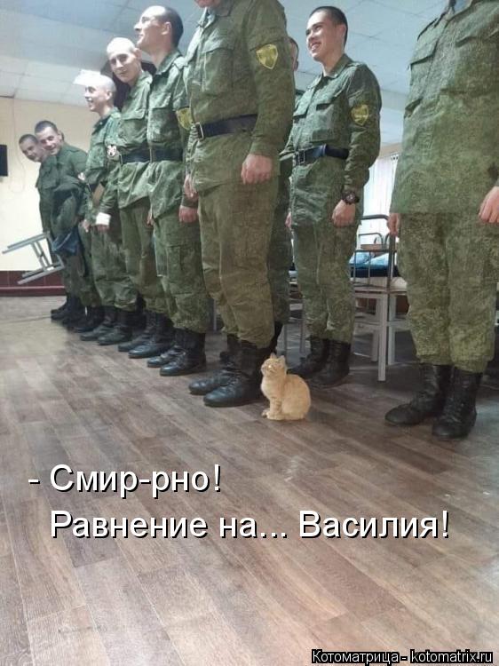 - Смир-рно! Равнение на... Василия!... Котоматрица: - Смир-рно! Равнение на... Василия!