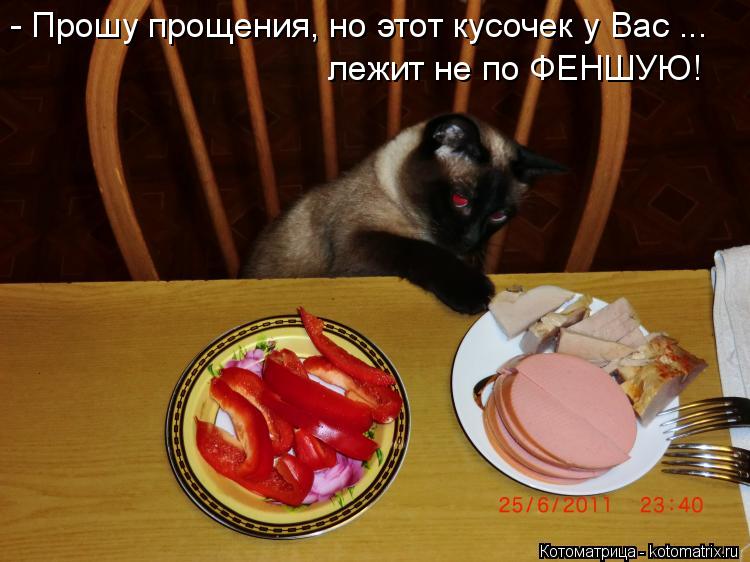 - Прошу прощения, но этот кусочек у Вас ... лежит не по ФЕНШУЮ!... Котоматрица: - Прошу прощения, но этот кусочек у Вас ... лежит не по ФЕНШУЮ!