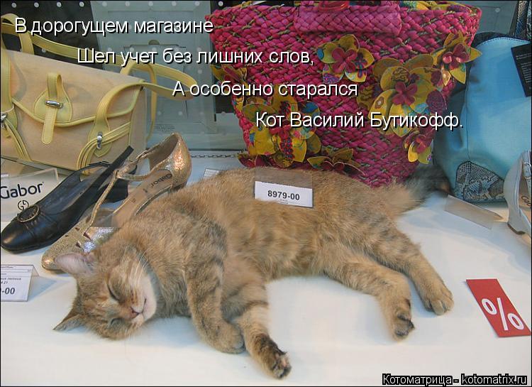 В дорогущем магазине Шел учет без лишних слов, А особенно старался Кот Василий Бутикофф.... Котоматрица: В дорогущем магазине Шел учет без лишних слов, А особенно старался Кот Василий Бутикофф.