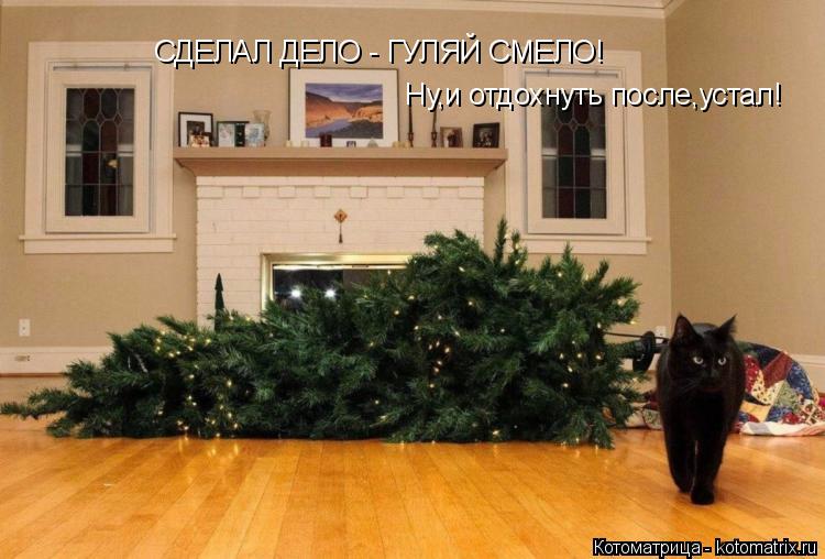 СДЕЛАЛ ДЕЛО - ГУЛЯЙ СМЕЛО! Ну,и отдохнуть после,устал!... Котоматрица: СДЕЛАЛ ДЕЛО - ГУЛЯЙ СМЕЛО! Ну,и отдохнуть после,устал!