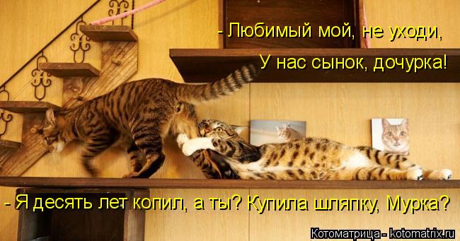 У нас сынок, дочурка! - Любимый мой, не уходи, - Я десять лет копил, а ты? Купила шляпку, Мурка?... Котоматрица: У нас сынок, дочурка! - Любимый мой, не уходи, - Я десять лет копил, а ты? Купила шляпку, Мурка?