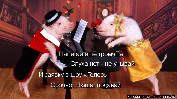 Налегай еще громчЕе, Слуха нет - не унывай И заявку в шоу «Голос» Срочно, Нюша, подавай.... Котоматрица: Налегай еще громчЕе, Слуха нет - не унывай И заявку в шоу «Голос» Срочно, Нюша, подавай.