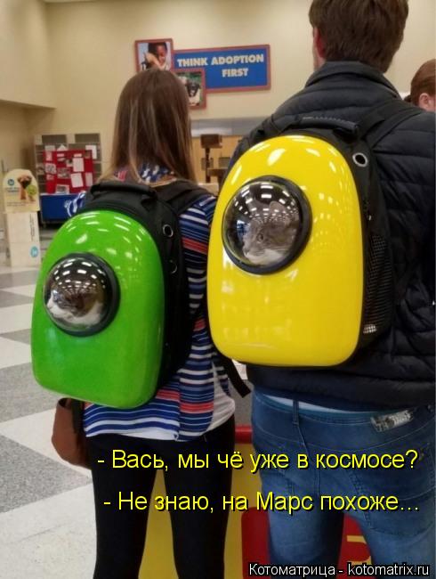 - Вась, мы чё уже в космосе? - Не знаю, на Марс похоже…... Котоматрица: - Вась, мы чё уже в космосе? - Не знаю, на Марс похоже…