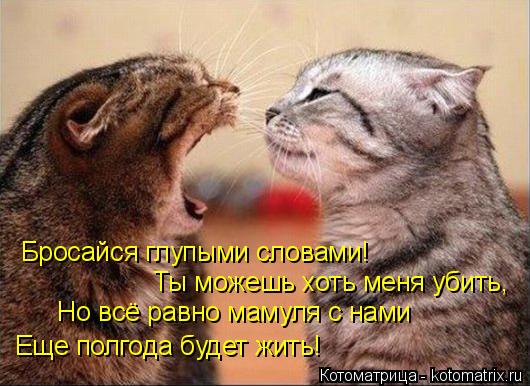 Бросайся глупыми словами! Ты можешь хоть меня убить, Но всё равно мамуля с нами Еще полгода будет жит... Котоматрица: Бросайся глупыми словами! Ты можешь хоть меня убить, Но всё равно мамуля с нами Еще полгода будет жить!