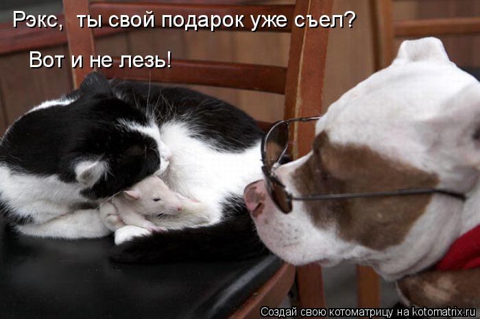 Рэкс, ты свой подарок уже съел? Вот и не лезь!... Котоматрица: Рэкс, ты свой подарок уже съел? Вот и не лезь!