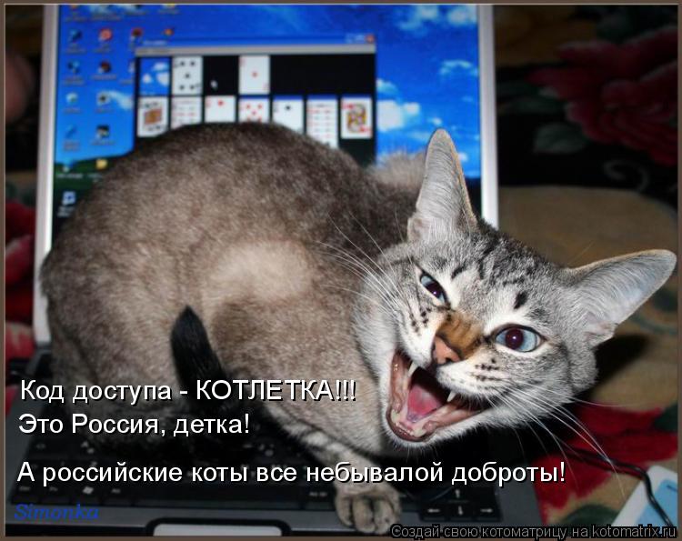 Котоматрица: Код доступа - КОТЛЕТКА!!! Это Россия, детка! А российские коты все небывалой доброты!