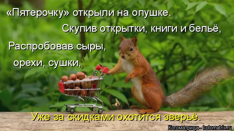 «Пятерочку» открыли на опушке. Скупив открытки, книги и бельё, Распробовав сыры, орехи, сушки, Уже за... Котоматрица: «Пятерочку» открыли на опушке. Скупив открытки, книги и бельё, Распробовав сыры, орехи, сушки, Уже за скидками охотится зверьё.