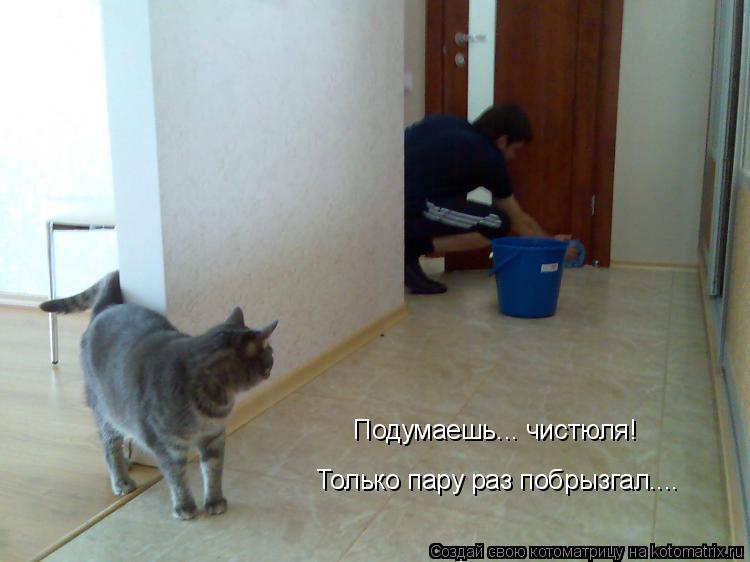 Подумаешь... чистюля! Только пару раз побрызгал....... Котоматрица: Подумаешь... чистюля! Только пару раз побрызгал....