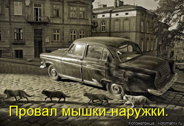 Провал мышки-наружки.... Котоматрица: Провал мышки-наружки.