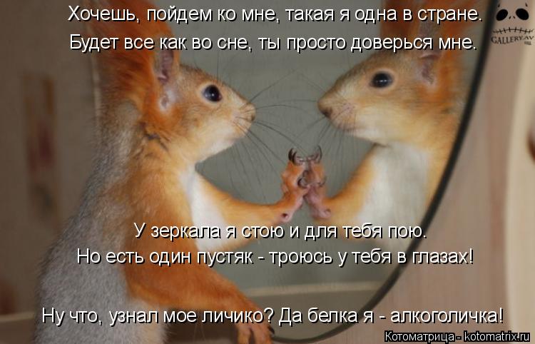 Котоматрица: Хочешь, пойдем ко мне, такая я одна в стране. Будет все как во сне, ты просто доверься мне. У зеркала я стою и для тебя пою. Но есть один пустяк -